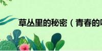 草叢里的秘密(青春的味道李鐵軍)