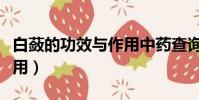 白蘞的功效與作用中藥查詢(白蘞的功效與作用)