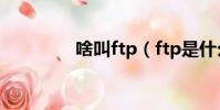 啥叫ftp(ftp是什么東西)