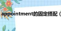 appointment的固定搭配(appointment)