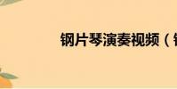 鋼片琴演奏視頻(鋼片琴)