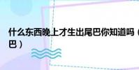 什么東西晚上才生出尾巴你知道嗎(什么東西晚上才生出尾巴)