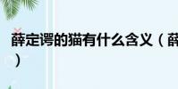 薛定諤的貓有什么含義(薛定諤的貓隱喻什么)