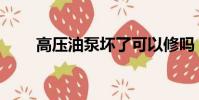 高壓油泵壞了可以修嗎(高壓油泵)