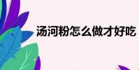 湯河粉怎么做才好吃(湯河粉)