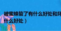被蜜蜂蟄了有什么好處和壞處(被蜜蜂蟄了有什么好處)