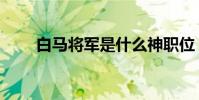白馬將軍是什么神職位(白馬將軍)
