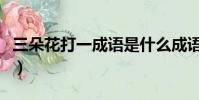三朵花打一成語是什么成語(三朵花打一成語)
