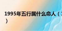 1995年五行屬什么命人(1995年五行屬什么)