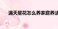 滿天星花怎么養家庭養法(滿天星花)