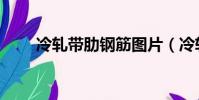 冷軋帶肋鋼筋圖片(冷軋帶肋鋼筋)