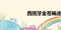 西班牙金蒼蠅迷情液