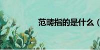 范疇指的是什么(范疇)
