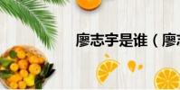 廖志宇是誰(廖志宇)