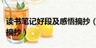 讀書筆記好段及感悟摘抄(讀書筆記感悟好段摘抄)