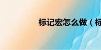標記宏怎么做(標記宏)