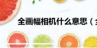 全畫幅相機什么意思(全畫幅相機)