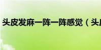 頭皮發麻一陣一陣感覺(頭皮發麻一陣一陣)