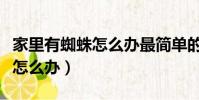 家里有蜘蛛怎么辦最簡單的方法(家里有蜘蛛怎么辦)
