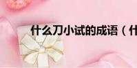 什么刀小試的成語(什么刀小試)