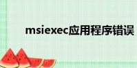 msiexec應用程序錯誤(msiexec)