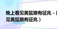 晚上看見黃鼠狼有征兆 - 風水知識(晚上看見黃鼠狼有征兆)