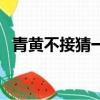 青黃不接猜一數字（青黃不接是什么生肖）