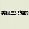 美國三只熊的動畫片（美國三只小熊動畫片）