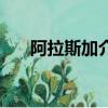 阿拉斯加介紹怎么寫（阿拉斯加介紹）