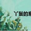丫鬟的意思和造句（丫鬟的意思）