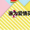 誰為愛情買單演員表（誰為愛情買單）