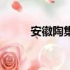 安徽陶集（陶集集購物是真的嗎）