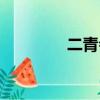 二青會全稱（二青會時間）