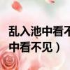 亂入池中看不見聞歌始覺有人來翻譯（亂入池中看不見）