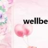 wellbet是哪家公司（wellbet）