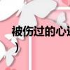 被傷過的心還能愛誰?（被傷過的心還能愛誰）