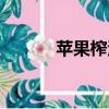 蘋果榨汁最佳搭配（蘋果榨汁）