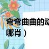 彎彎曲曲的動物是何生肖（彎彎曲曲的動物是哪肖）