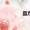 皿方罍怎么念（皿方罍）