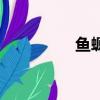 魚螈有什么價值（魚螈）