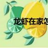 龍蝦在家怎么養活（龍蝦怎么養家里）
