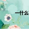 一什么花種填空（一什么花籽）