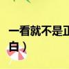 一看就不是正經人婳語（一看就不是正經人諸白）