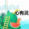 心有靈犀小說（網王心有靈犀）