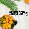 現有的5g手機（現在5g手機有哪些）