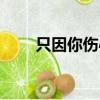 只因你傷心粵語女聲（只因你傷心）