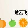 楚云飛結局最好（楚云飛結局）