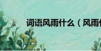 詞語風雨什么(風雨什么什么)