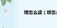 埋怎么讀(壩怎么讀)