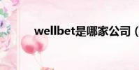 wellbet是哪家公司(wellbet)